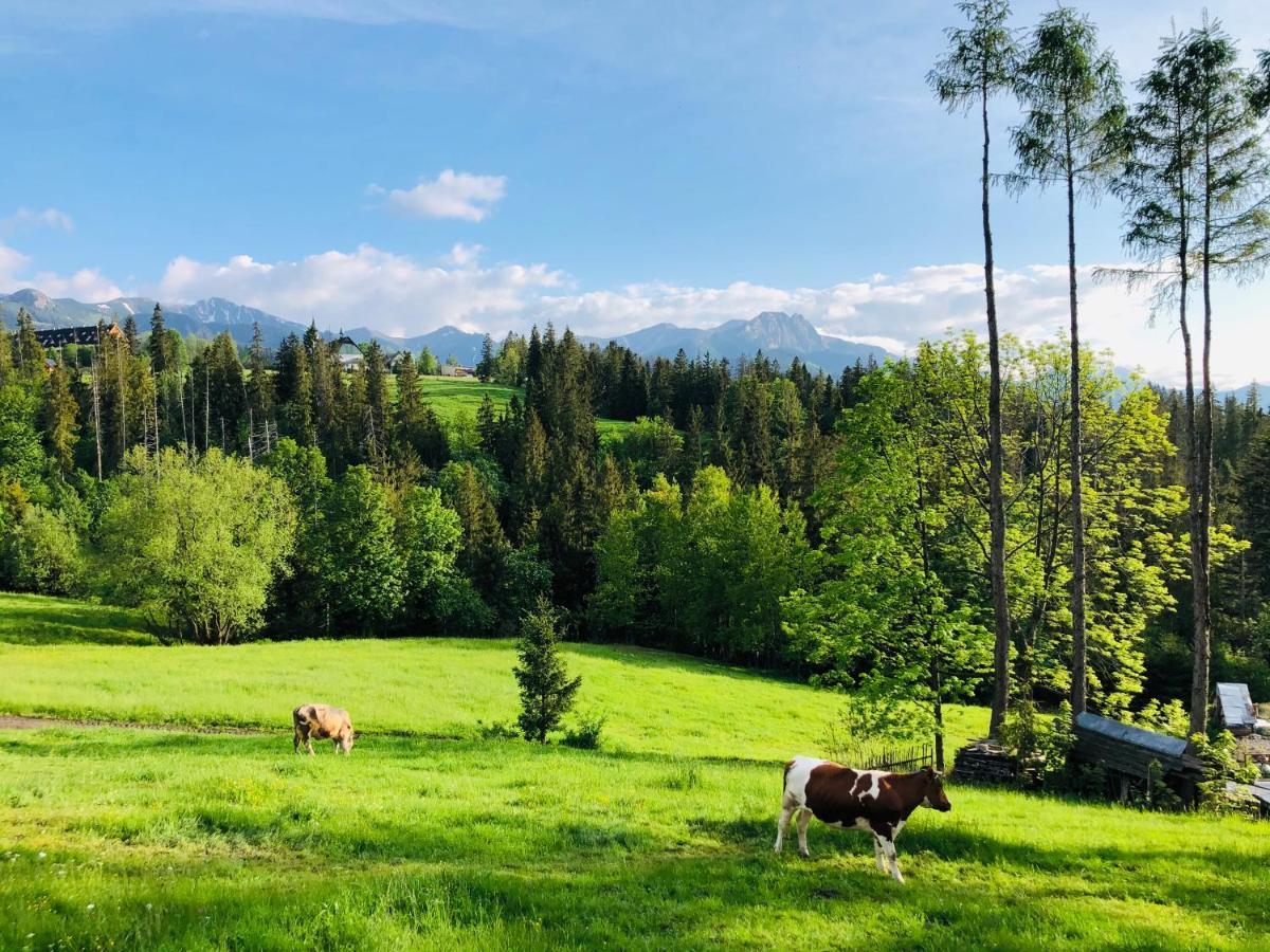 Tatrzanska Polana 5F Apartment Zakopane Bagian luar foto